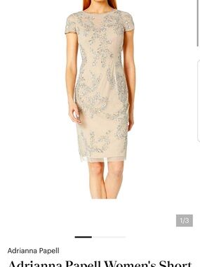 Adrianna Papell Silver Beaded Midi Dress